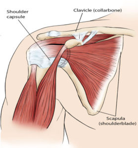 Frozen Shoulder Joint Pain