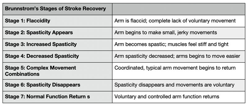 Brunnstrom Stages Of Recovery Chart