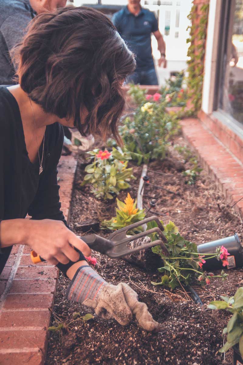 gardening pain free, occupational therapy Near San Antonio in Boerne, Texas